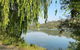 Eildon Pondage Walk - thumb 1