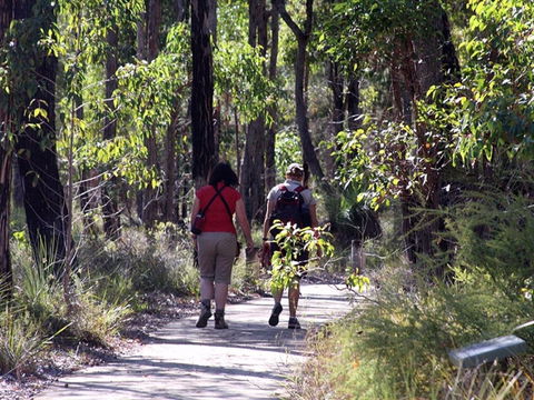 Forest Path, Crooked Brook - Accommodation Nelson Bay 0