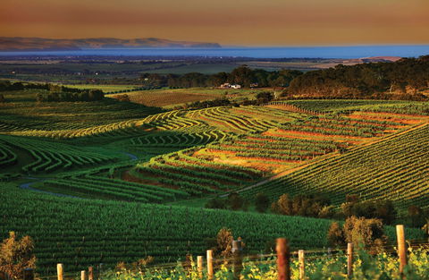 Mclaren Vale - Accommodation Nelson Bay 1