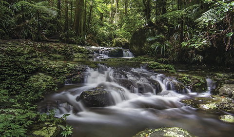 Protesters Falls Walking Track - Accommodation Nelson Bay 0