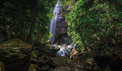 Protesters Falls Walking Track - Accommodation Nelson Bay 1