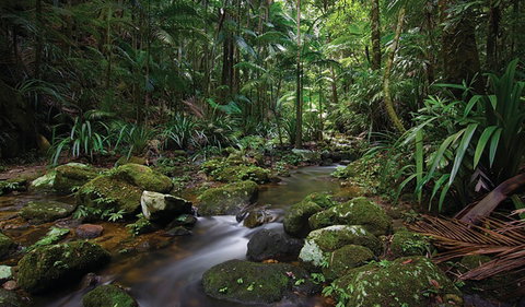 Protesters Falls Walking Track - Accommodation Nelson Bay 2