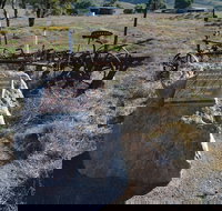 Wangaraleednie Monument  Ruins - Accommodation Nelson Bay