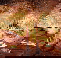Jenolan Caves Ribbon Cave Tour - Accommodation Nelson Bay