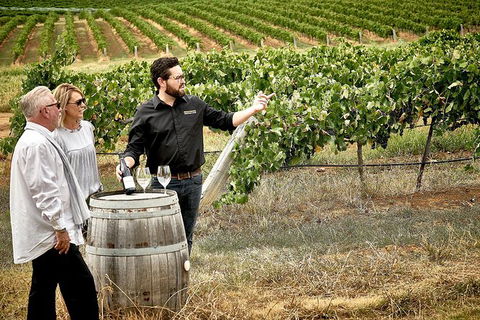 VIP Soil-To-Cellar Experience - Accommodation Nelson Bay 0