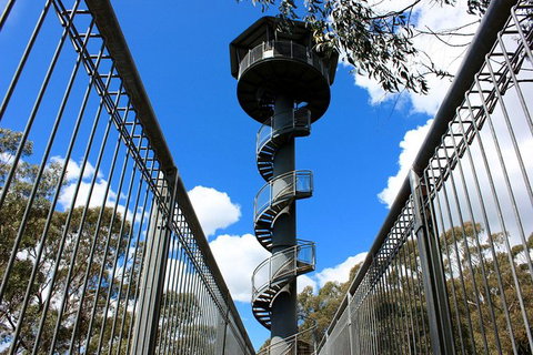 Illawarra Fly Treetop Adventures Admission Including Zipline Tour - Accommodation Nelson Bay 3