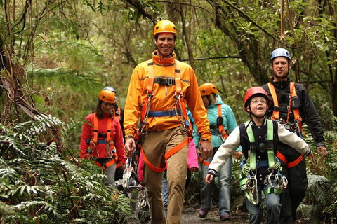 Illawarra Fly Treetop Adventures Admission Including Zipline Tour - Accommodation Nelson Bay 1