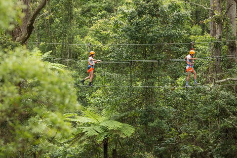 Illawarra Fly Treetop Adventures Admission Including Zipline Tour - Accommodation Nelson Bay 0