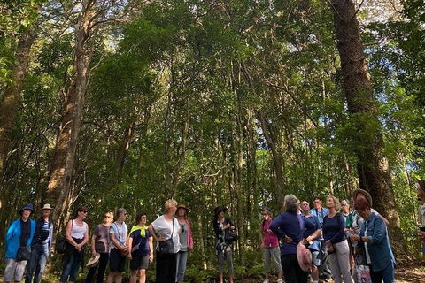 Breakfast Bushwalk Tour In Captain Cook\'s Monument - Accommodation Nelson Bay 0
