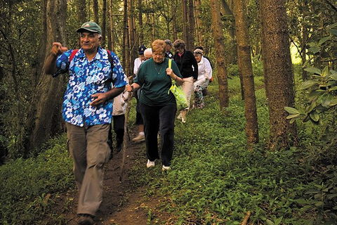 Breakfast Bushwalk Tour In Captain Cook\'s Monument - Accommodation Nelson Bay 4