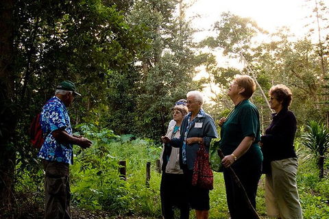 Breakfast Bushwalk Tour In Captain Cook\'s Monument - Accommodation Nelson Bay 3
