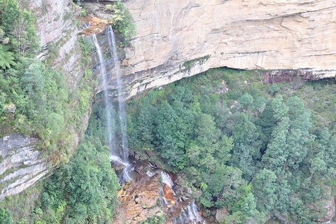 All-Inclusive Blue Mountains Tour In A Luxury Mercedes Sprinter - Accommodation Nelson Bay 9