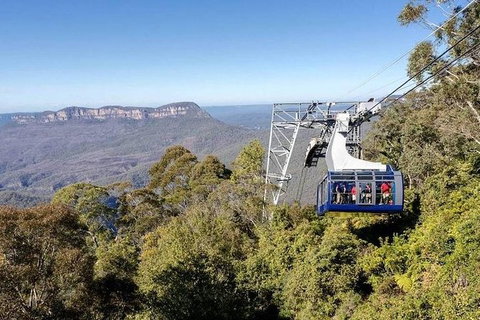 All-Inclusive Blue Mountains Tour In A Luxury Mercedes Sprinter - Accommodation Nelson Bay 11