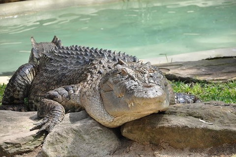 All-Inclusive Blue Mountains Tour In A Luxury Mercedes Sprinter - Accommodation Nelson Bay 7