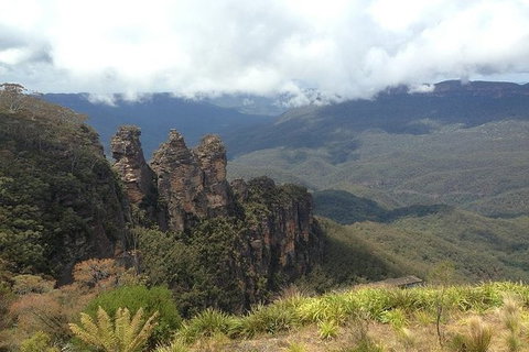 All-Inclusive Blue Mountains Tour In A Luxury Mercedes Sprinter - Accommodation Nelson Bay 3