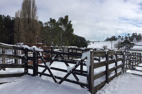 Paddock To Plate Farm Tour And Tasting - Accommodation Nelson Bay 11
