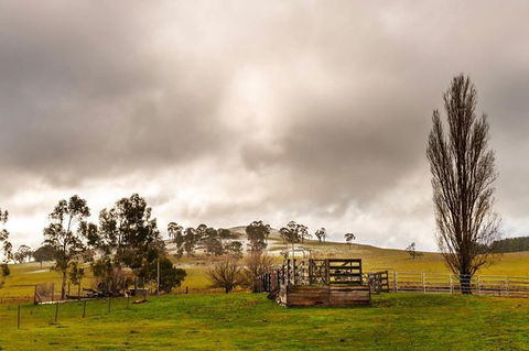 Paddock To Plate Farm Tour And Tasting - Accommodation Nelson Bay 0