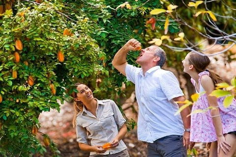 Full-Day Guided Tour Byron Bay With Pickup - Accommodation Nelson Bay 1