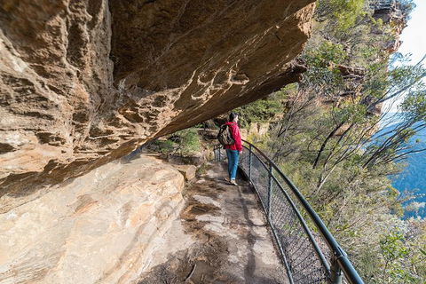 Blue Mountains Highlights & Wildlife Park - Accommodation Nelson Bay 0