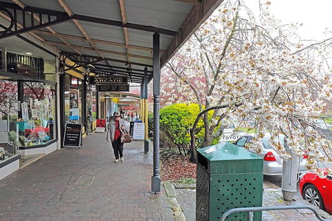 Blue Mountains Highlights & Wildlife Park - Accommodation Nelson Bay 2