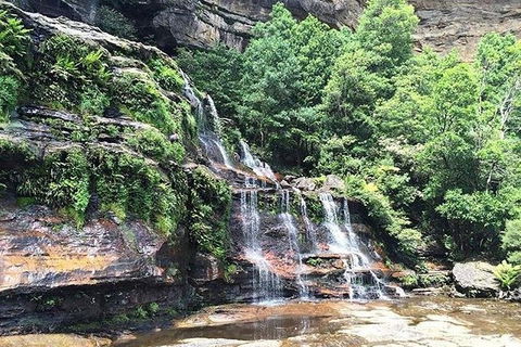 Blue Mountains Highlights & Wildlife Park - Accommodation Nelson Bay 8