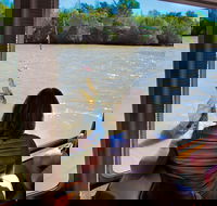 Jumping Crocs  Nature Adventure Cruise from Darwin - Accommodation Nelson Bay