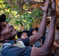 Arnhem Land Injalak Hill Full-Day Tour from Jabiru - Accommodation Nelson Bay