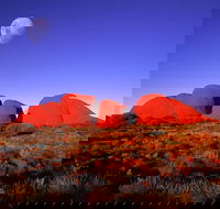 Kata Tjuta Afternoon Walpa Gorge Tour - Accommodation Nelson Bay