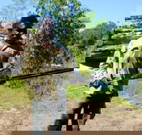 Kakadu  Arnhem Land tour Camping tour - Accommodation Nelson Bay