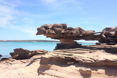 Groote Eylandt Tour: Hanging Rock Cave Paintings - Accommodation Nelson Bay 0