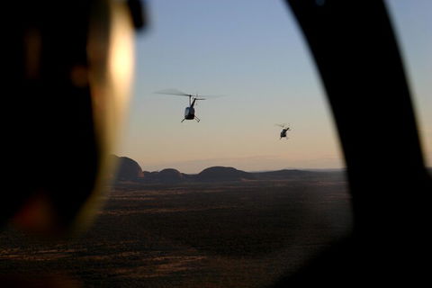 Helicopter Scenic: Lizard Safari - Accommodation Nelson Bay 1