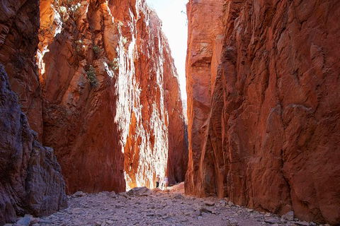 Best Of Alice Springs Full Day Tour - Accommodation Nelson Bay 6