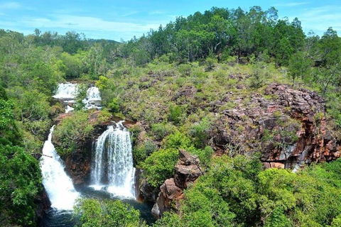 Darwin: Premium Litchfield Regional 11 Hours Tour - Accommodation Nelson Bay 5