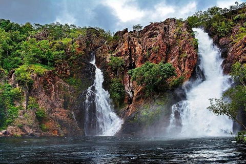 Darwin: Premium Litchfield Regional 11 Hours Tour - Accommodation Nelson Bay 0