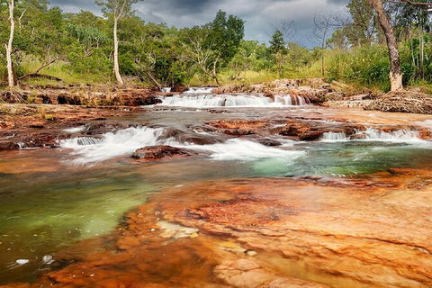 Full-Day Private Guided Tour To Litchfield National Park - Accommodation Nelson Bay 14