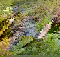 Full-Day Private Guided Tour to Litchfield National Park - Accommodation Nelson Bay
