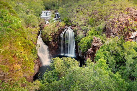 Full-Day Private Guided Tour To Litchfield National Park - Accommodation Nelson Bay 0