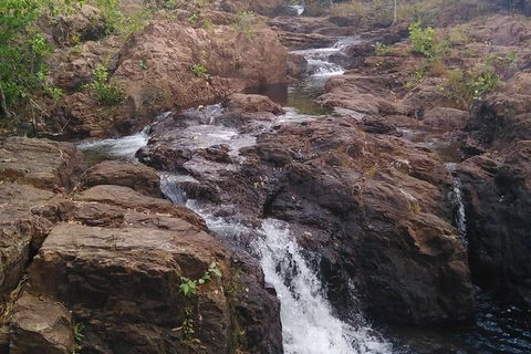 Full-Day Private Guided Tour To Litchfield National Park - Accommodation Nelson Bay 15