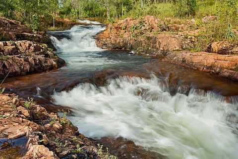 Full-Day Private Guided Tour To Litchfield National Park - Accommodation Nelson Bay 3
