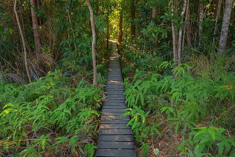 Full-Day Private Guided Tour To Litchfield National Park - Accommodation Nelson Bay 7