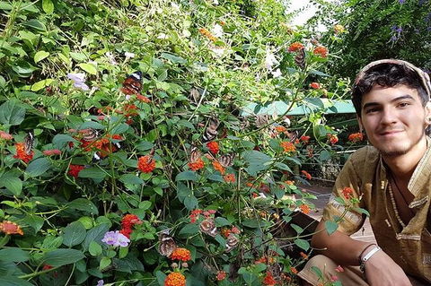 Full-Day Private Guided Tour To Litchfield National Park - Accommodation Nelson Bay 17