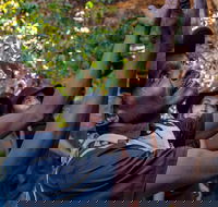 Arnhem Land Injalak Hill Full-Day Tour from Darwin - Accommodation Nelson Bay