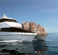 Seastar Luxury Outer Great Barrier Reef Island and Reef Tour from Cairns - Accommodation Nelson Bay