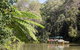 Best Of Kuranda Including Skyrail, Kuranda Scenic Railway And Rainforestation - thumb 3