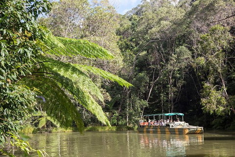 Best Of Kuranda Including Skyrail, Kuranda Scenic Railway And Rainforestation - Accommodation Nelson Bay 3
