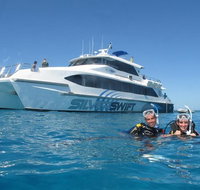 Silverswift Outer Great Barrier Reef Dive and Snorkel Cruise from Cairns - Accommodation Nelson Bay