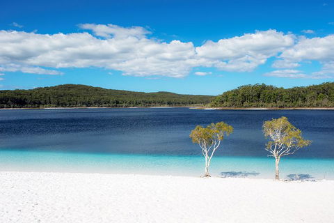 All-Inclusive Fraser Island Day Tour - Accommodation Nelson Bay 2