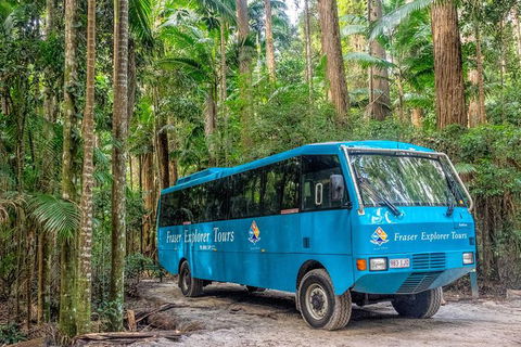 All-Inclusive Fraser Island Day Tour - Accommodation Nelson Bay 0