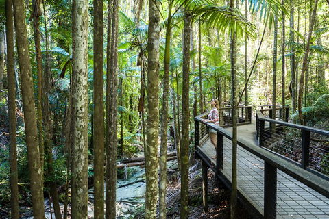 All-Inclusive Fraser Island Day Tour - Accommodation Nelson Bay 7
