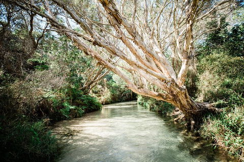 All-Inclusive Fraser Island Day Tour - Accommodation Nelson Bay 5